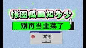 成人生日手帐教程视频