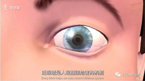 成人通泪腺视频,生理功能与日常护理全解析