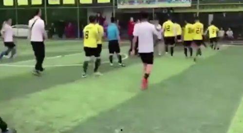 成人和学生踢球打架视频