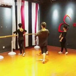 模特成人零基础培训视频,成人模特培训视频全面解析