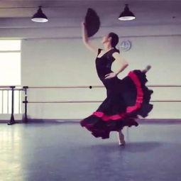 成人舞蹈剧目简介大全视频