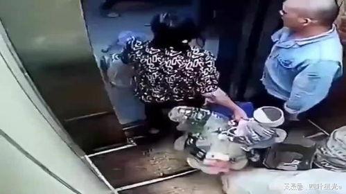 成人测智商视频