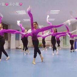 中国舞视频成人技巧,舞动东方韵律之美