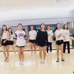 安家成人舞蹈视频大全集,舞动魅力，尽享舞蹈盛宴